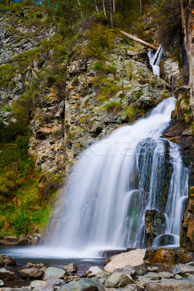 息をのむような 滝 山 山 ストリーム を実行して ストックフォト © TasiPas