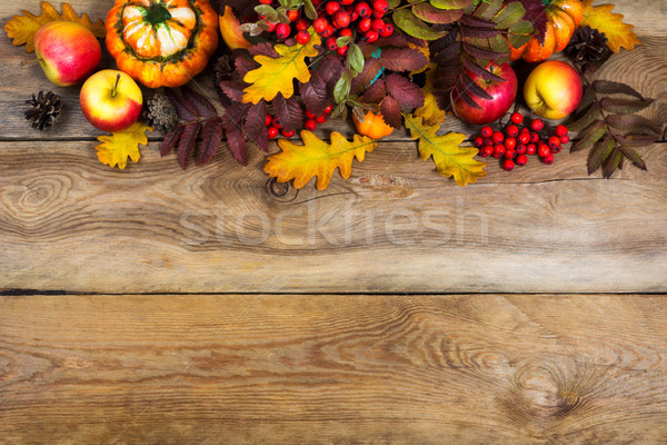 Fall background with red rowan and yellow oak leaves, copy space Stock photo © TasiPas