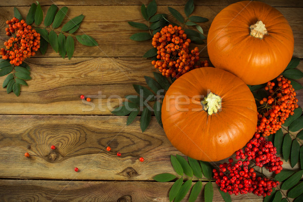 pumpkins and rowan Stock photo © TasiPas