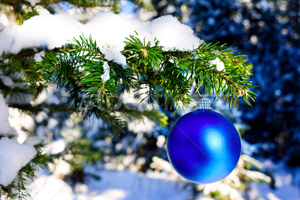 Blue Christmas ornament hanging on forest tree branch Stock photo © TasiPas