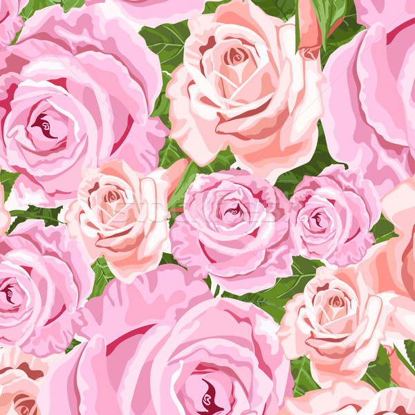 Beżowy różowy róż kwiatowy wektora ślub Zdjęcia stock © TasiPas