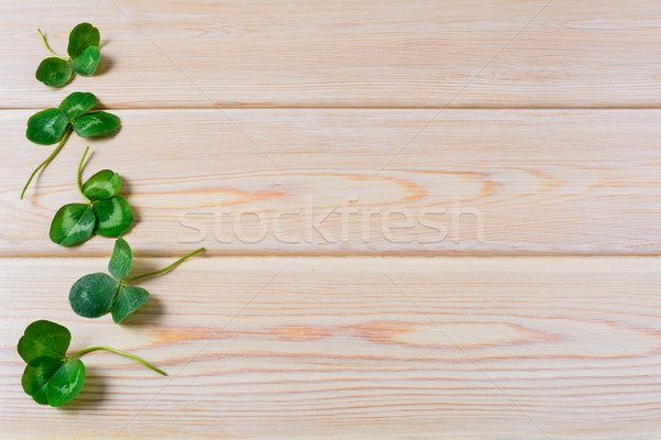 Three-leaves clover on wooden background Stock photo © TasiPas