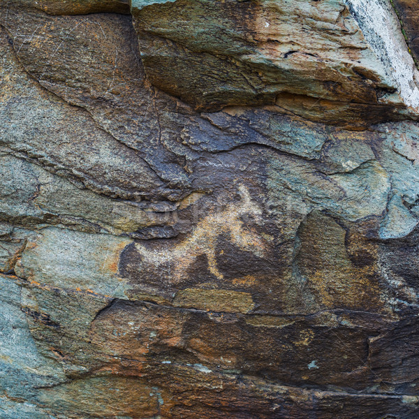 Prehistorical petroglyphs carved in stones Stock photo © TasiPas