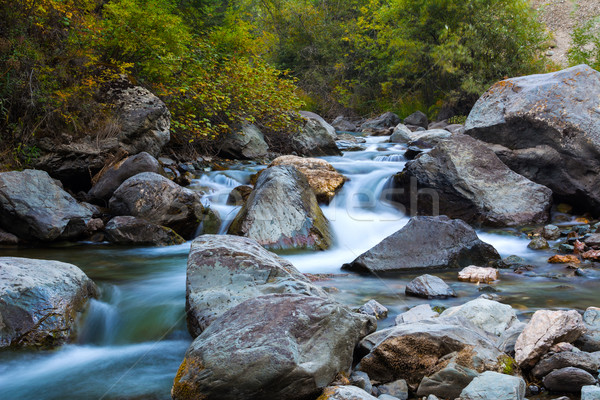 Cascade waterfalls of the mountain river  Stock photo © TasiPas