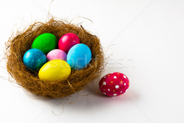 Easter eggs in a nest and pink Easter egg Stock photo © TasiPas