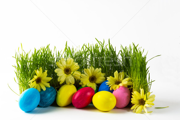 Wielobarwny Easter Eggs zielona trawa świeże żółte kwiaty Daisy Zdjęcia stock © TasiPas