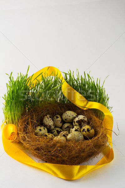 Wild bird eggs in a nest  Stock photo © TasiPas