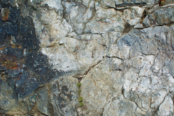 The texture of the rock Stock photo © TasiPas