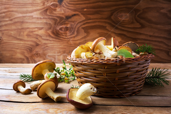 Forest picking mushrooms in wickered basket  Stock photo © TasiPas
