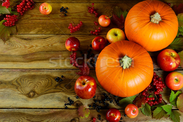 Thanksgiving background with pumpkins, berries and apples Stock photo © TasiPas