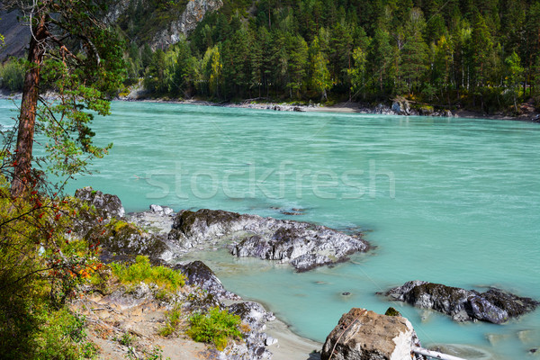 View of the mountain turquoise river  Stock photo © TasiPas