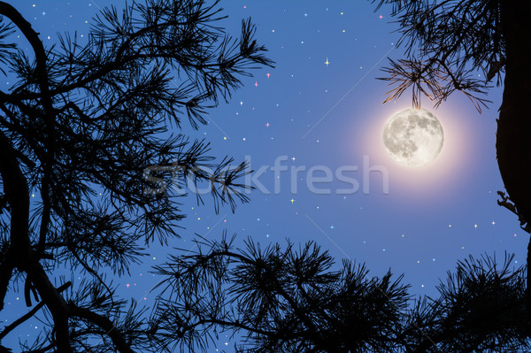 望月 夜空 月亮 明星 神秘 質地 商業照片 © TasiPas
