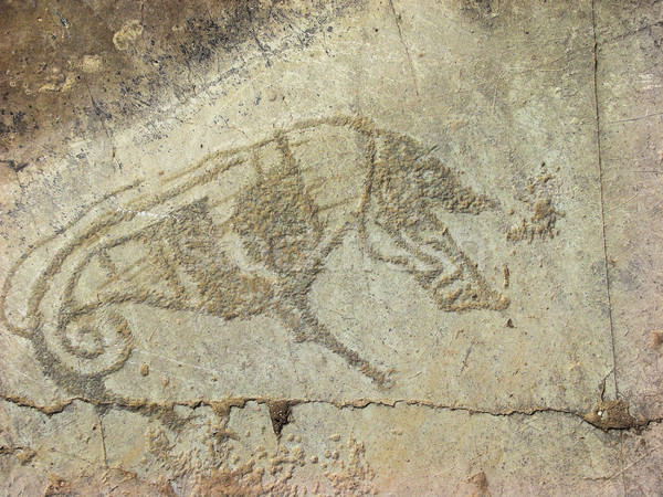 Stock photo: Stone with animal petroglyphs