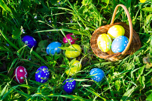 Easter egg hunt   Stock photo © TasiPas
