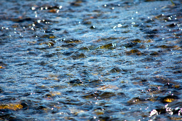 Ripples on the water of mountain river Stock photo © TasiPas