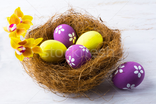 黃色 蘭花 巢 花 光 / easter eggs in the nest with