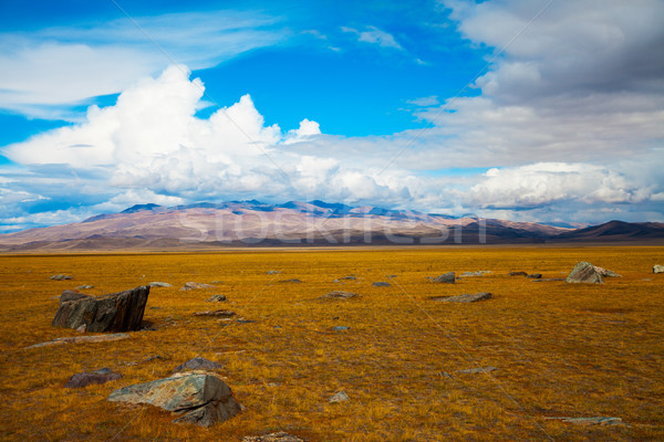 Multicolored steppe landscape with large stones Stock photo © TasiPas