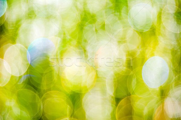 Sun beams on meadow grass blurred bokeh background  Stock photo © TasiPas