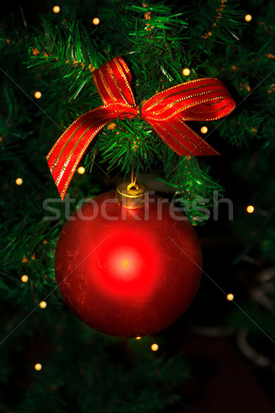 Kerstboom tak Rood ornament christmas decoratie Stockfoto © TasiPas