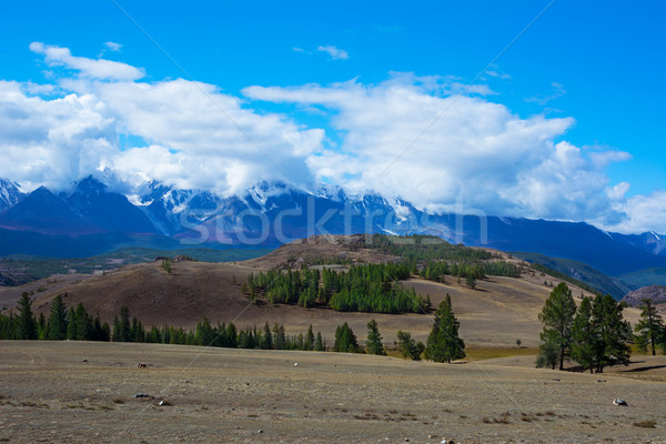 Geleira montanhas horizontal alpes sibéria Rússia Foto stock © TasiPas