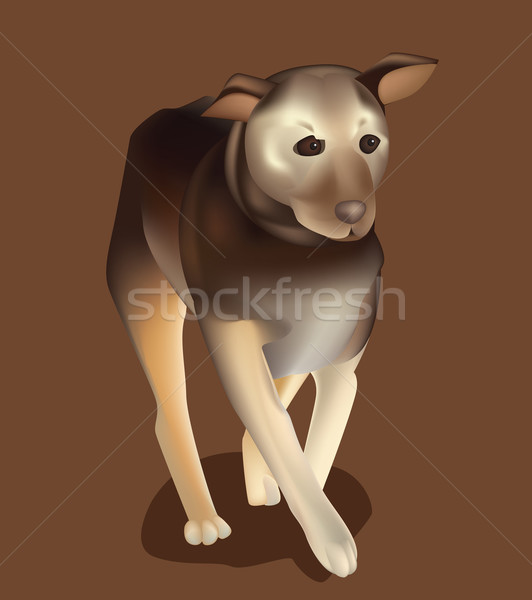 Kutya sétál póráz lábak beszél rajz Stock fotó © tatiana3337