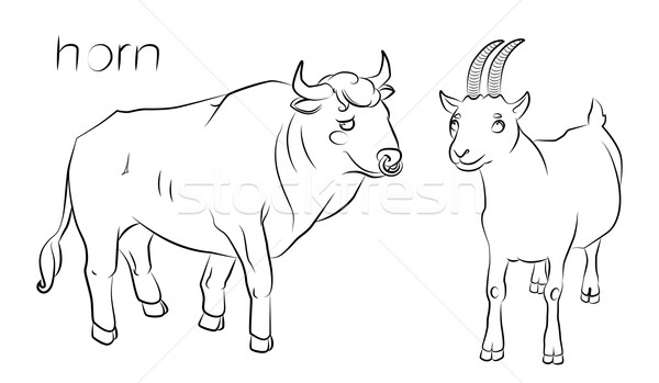 black and white image of a bull and goat Stock photo © tatiana3337