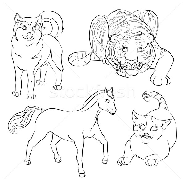 black and white image of a cat, dog, horse and tiger Stock photo © tatiana3337