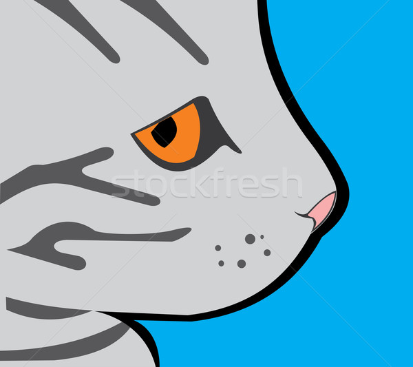 誇りに思う プロファイル 灰色の猫 定型化された 画像 いくつかの ストックフォト © tatiana3337