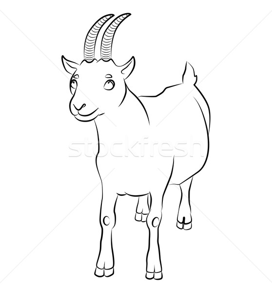 black and white image of a goat Stock photo © tatiana3337