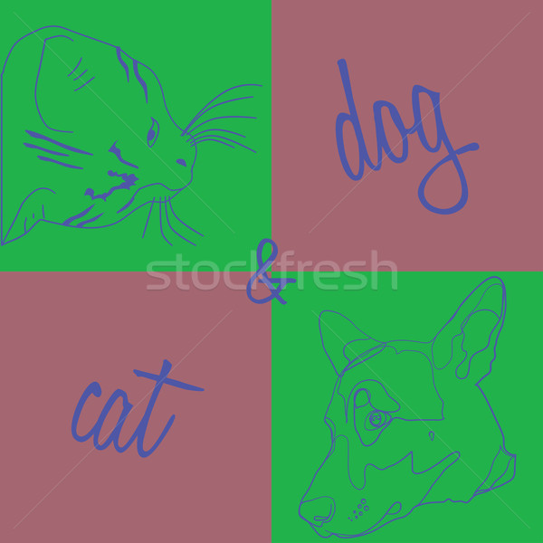 Stock photo: Cat and dog