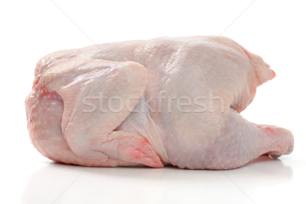 Crude Hen on a white background Stock photo © Tatik22