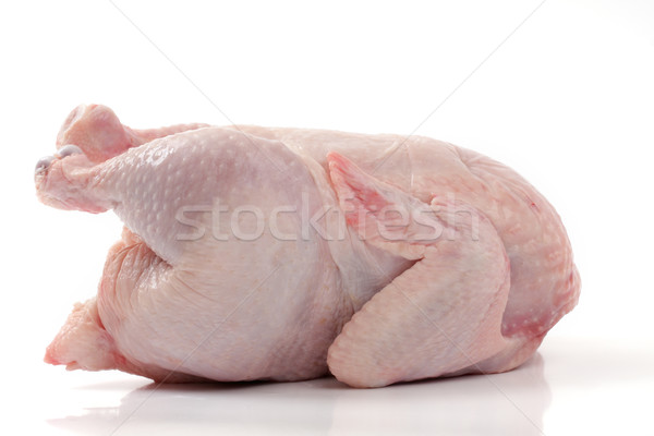 Crude Hen on a white background Stock photo © Tatik22