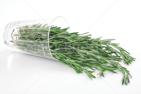 Rozmaryn liści zdrowia zielone roślin gotowania Zdjęcia stock © Tatik22