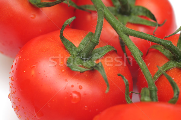 Tomate tomates cerises gouttes d'eau eau rouge [[stock_photo]] © Tatik22