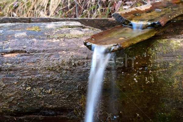 wood channel at a spring Stock photo © taviphoto