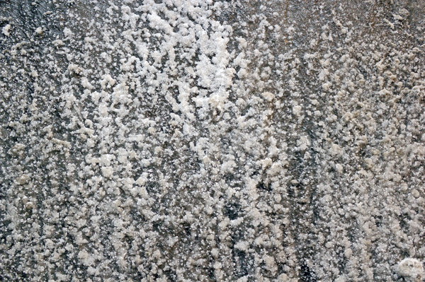 salt wall texture Stock photo © taviphoto