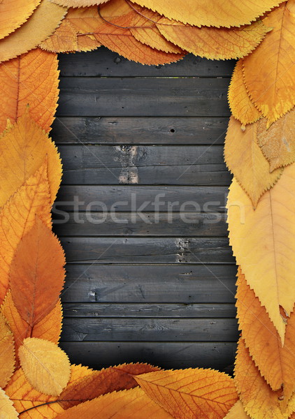 golden leaves frame on burned planks Stock photo © taviphoto