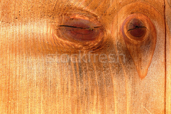 knotted spruce plank Stock photo © taviphoto