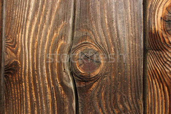 knotted wood spruce plank Stock photo © taviphoto