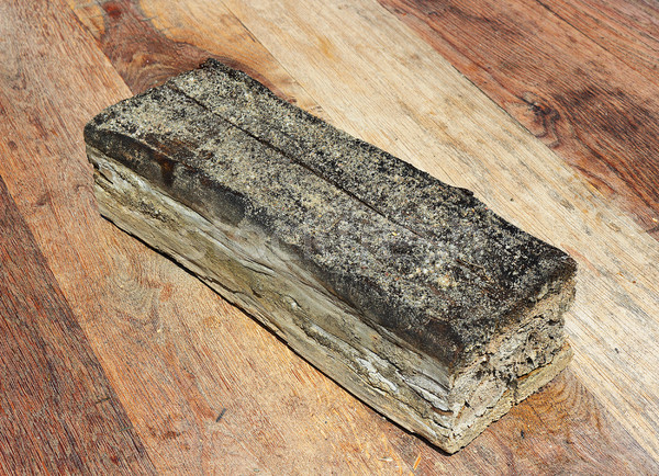 Stück Holz Strahl mir Pilz Textur Stock foto © taviphoto