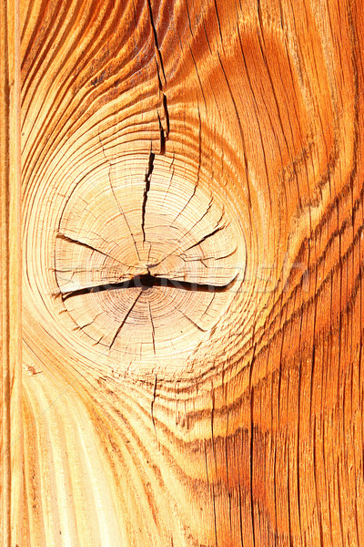 Stock photo: colorful spruce wood texture