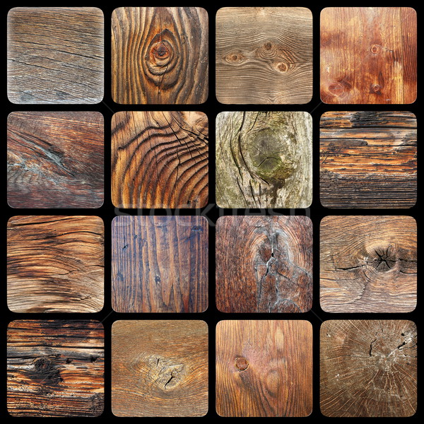collection of knotted wood textures Stock photo © taviphoto
