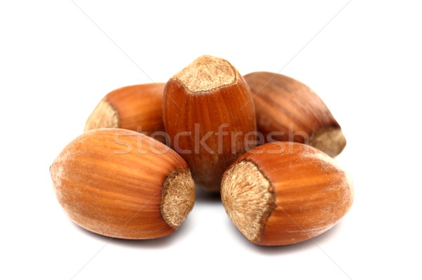 hazelnuts isolated on white background Stock photo © taviphoto