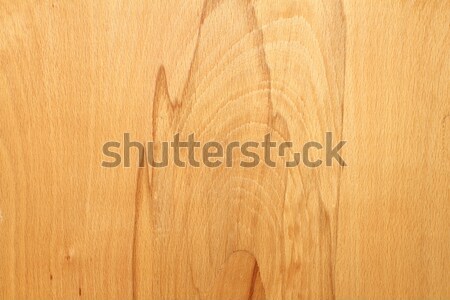 wooden veneer texture Stock photo © taviphoto