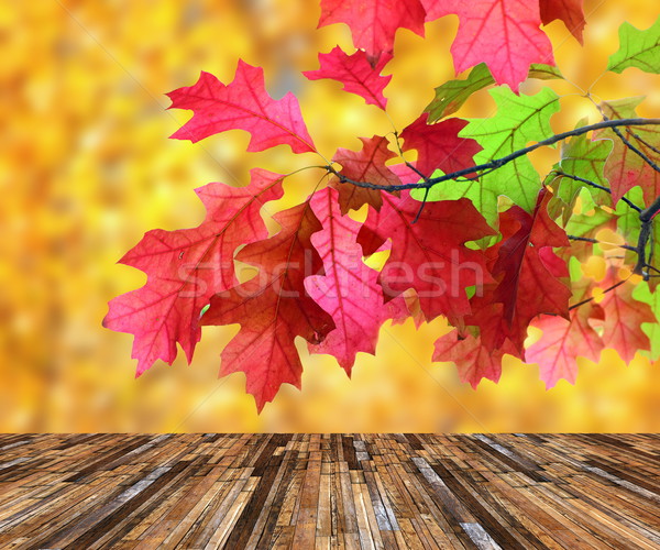beautiful red leaves over veranda Stock photo © taviphoto
