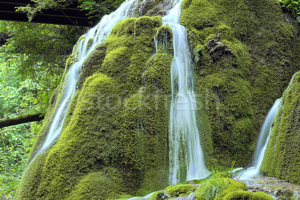 Schönen Kaskade rock Wasserfall Detail Landschaft Stock foto © taviphoto