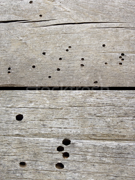 insects damage on old construction wood Stock photo © taviphoto