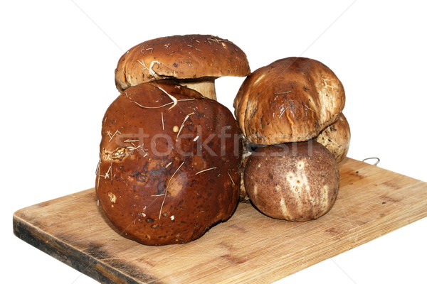 mushroom gathered from the forest ready for cooking Stock photo © taviphoto