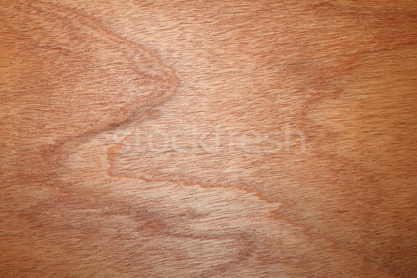 beautiful textured wood Stock photo © taviphoto