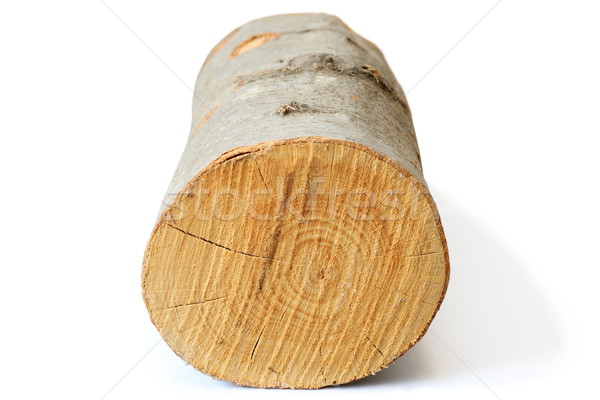 Stück Brennholz weiß getrocknet Schatten Baum Stock foto © taviphoto